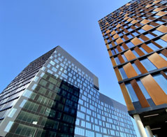 Praca po studiach na kierunku zarządzanie w Łodzi