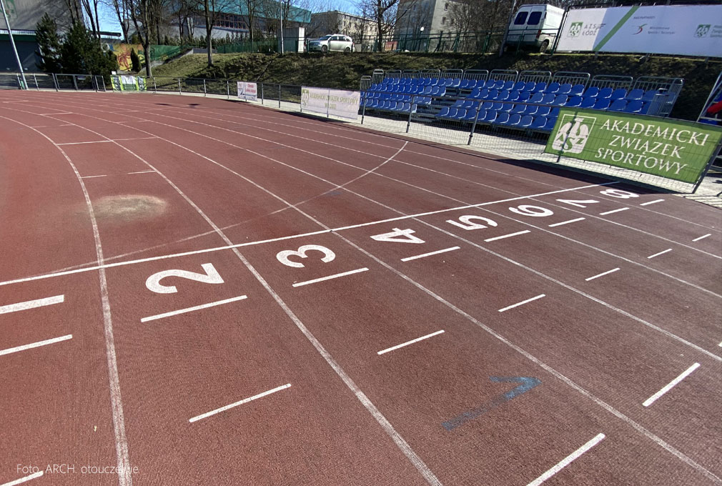 Studia sportowe na kierunkach sportowych – opinie
