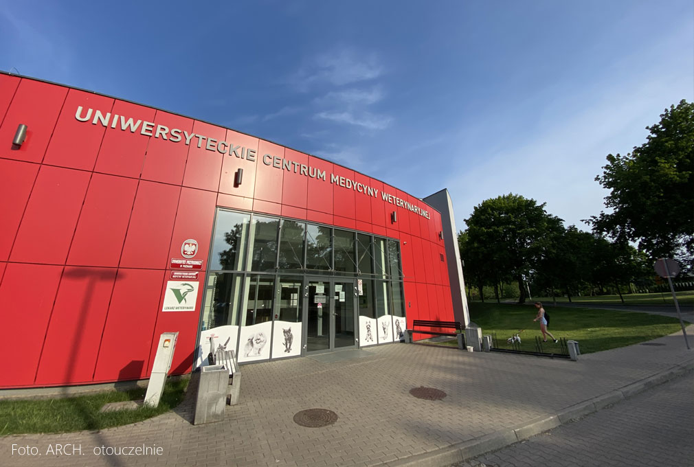 Jak wyglądają studia na kierunkach weterynaryjnych