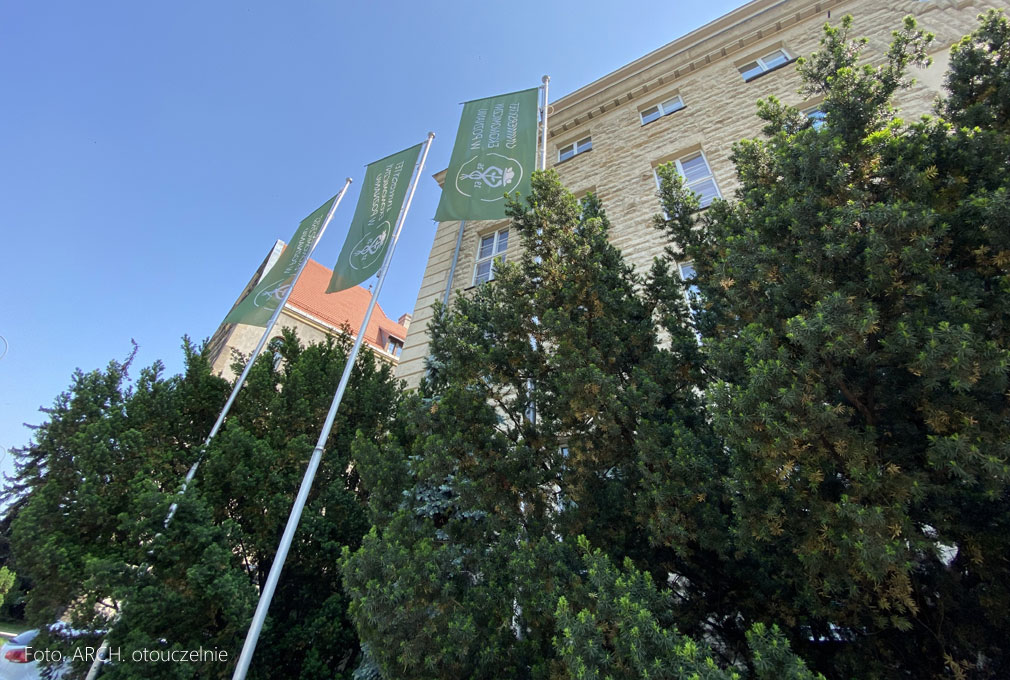 Czy warto iść na studia na kierunkach ekonomicznych