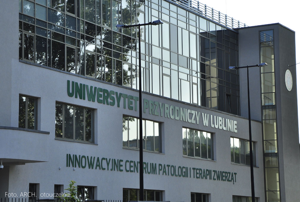 Studia weterynaryjne na kierunkach weterynaryjnych – zaoczne
