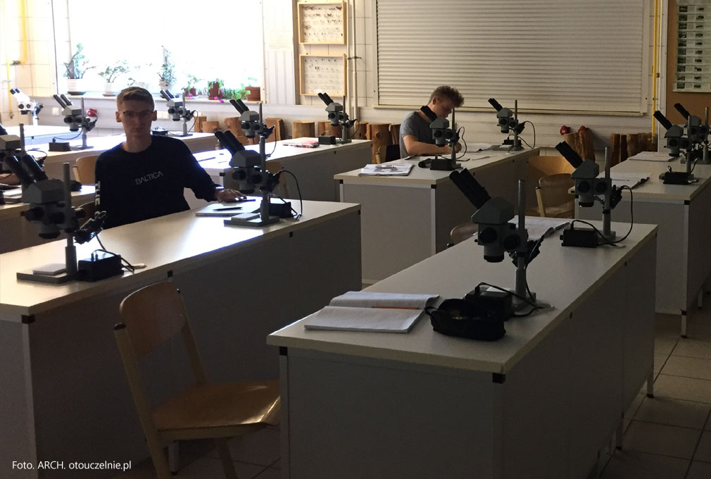 Jaka praca po studiach kierunkach chemicznych