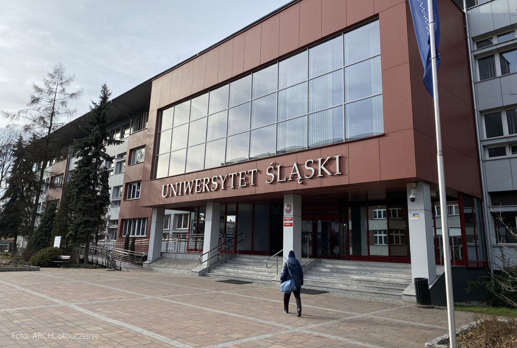 Jaka praca po studiach na kierunkach psychologicznych