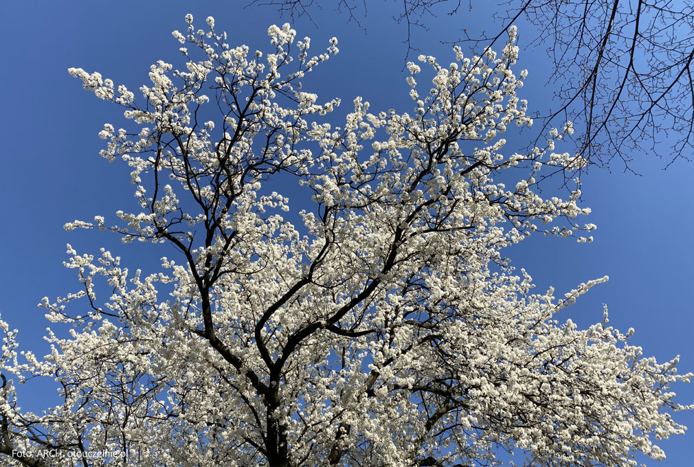 Co dadzą ci studia na kierunkach biologicznych i przyrodniczych
