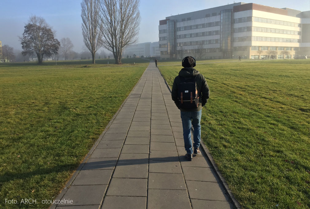 Jaka praca po studiach na kierunkach weterynaryjnych