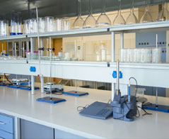 Dietetyka - Akademia Nauk Stosowanych w Nowym Targu