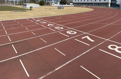 Akademia Wychowania Fizycznego - kierunki studiów 2025/2026