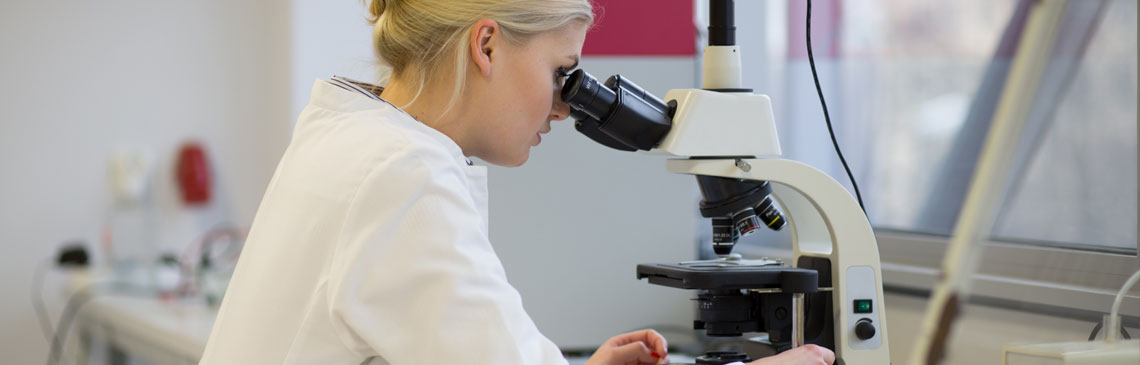 Zachodniopomorski Uniwersytet Technologiczny - kierunki studiów 2025/2026