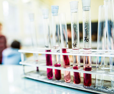 Politechnika Bydgoska im. Jana i Jędrzeja Śniadeckich - studia podyplomowe