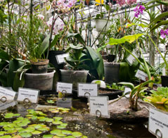 Ochrona zdrowia roślin - Szkoła Główna Gospodarstwa Wiejskiego w Warszawie