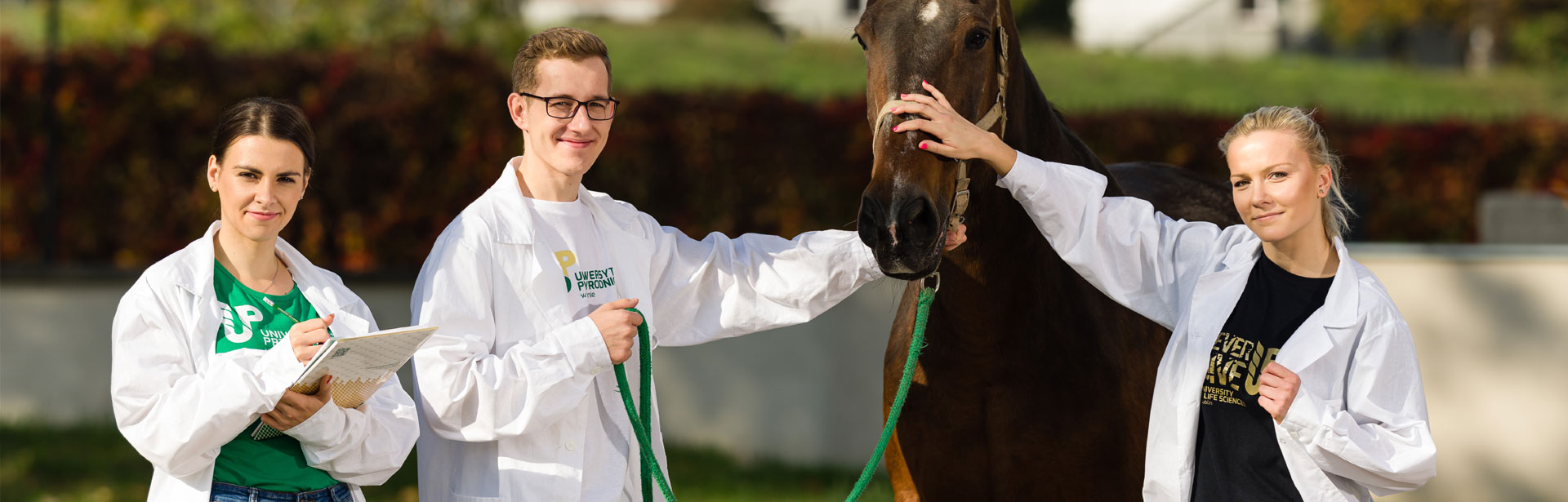 Uniwersytet Przyrodniczy (UP) w Lublinie - rekrutacja na studia 2025/2026