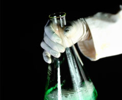 Biotechnologia - Politechnika Warszawska