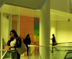 Muzeologia - Uniwersytet Rzeszowski