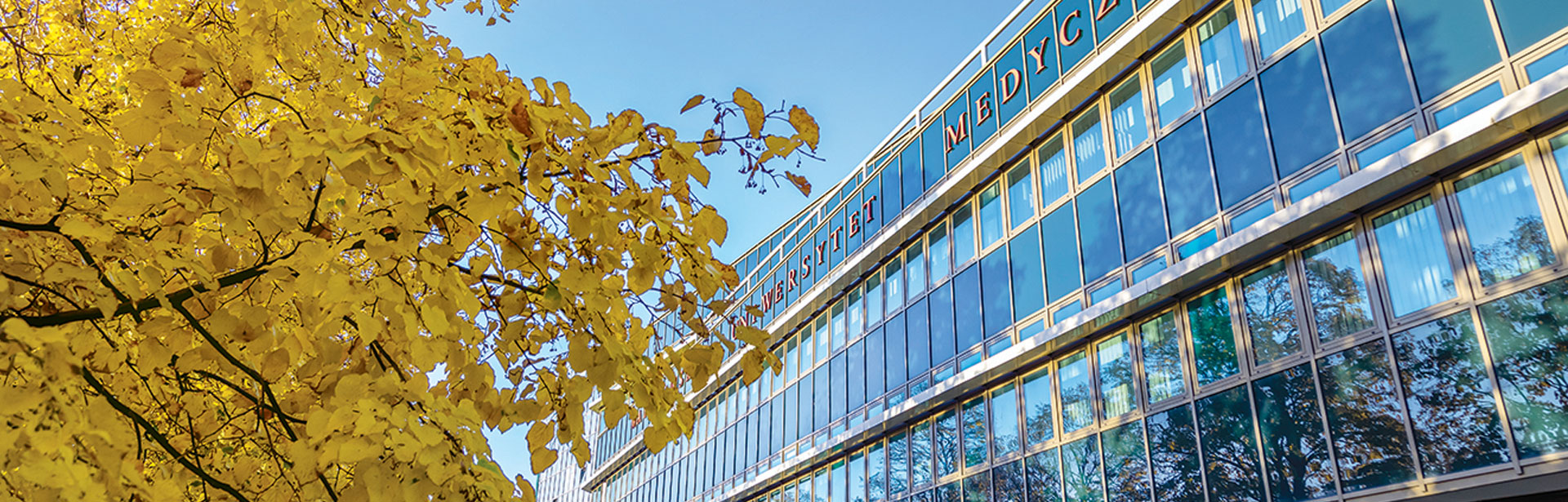 Warszawski Uniwersytet Medyczny (WUM) - rekrutacja na studia 2025/2026