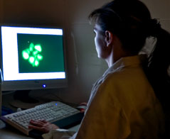 Genetyka - Uniwersytet Łódzki