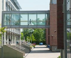 Fizjoterapia – Uniwersytet Andrzeja Frycza Modrzewskiego w Krakowie