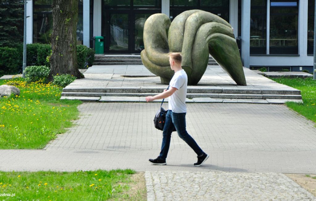 Architektura krajobrazu