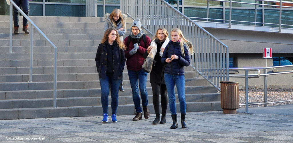 Architektura informacji