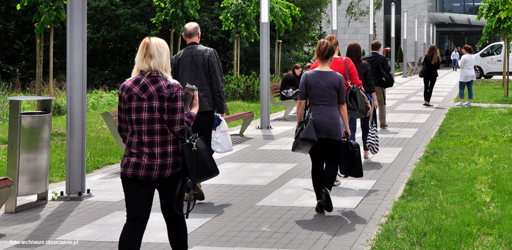 Pedagogika specjalna