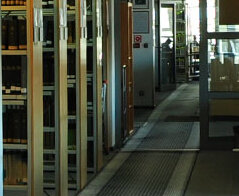 Archeologia - Uniwersytet Wrocławski 