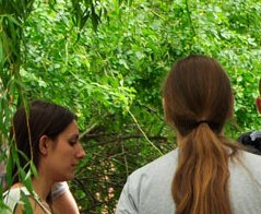 Zdrowie publiczne - Collegium Medicum im. Ludwika Rydygiera w Bydgoszczy 