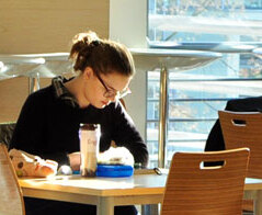 Filologia polska - Uniwersytet w Siedlcach