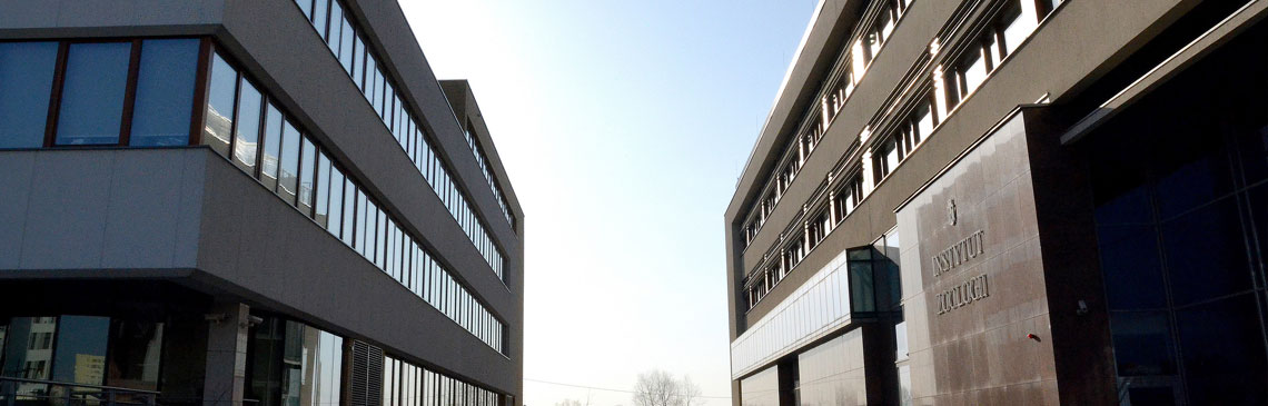 Uniwersytet Jagielloński - kierunki studiów 2026/2027