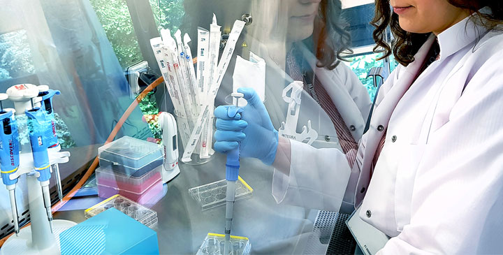 Politechnika Łódzka - kierunki studiów 2025/2026