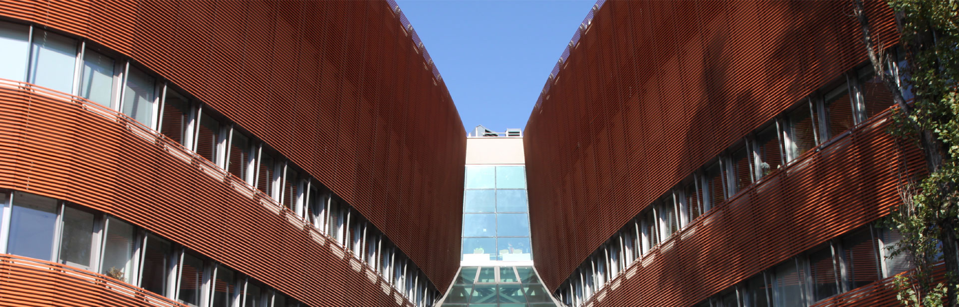 Menedżerska Akademia Nauk Stosowanych w Warszawie - rekrutacja na studia 2025/2026