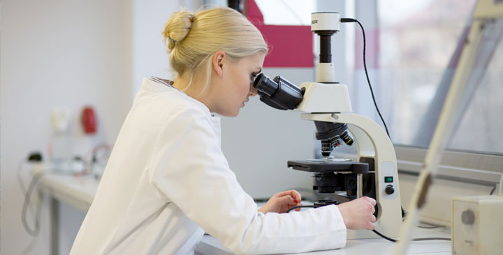 Zachodniopomorski Uniwersytet Technologiczny - kierunki studiów 2025/2026