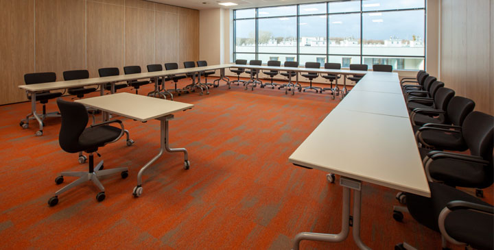 Uniwersytet VIZJA - kierunki studiów 2025/2026