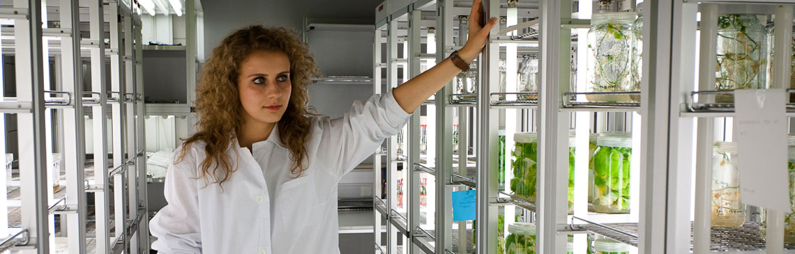 Szkoła Główna Gospodarstwa Wiejskiego - kierunki studiów 2025/2026