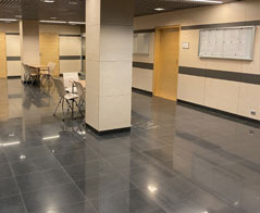 Politologia studia online - Łódź