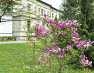 Studia rolnicze Szczecin