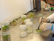 Uniwersytet w Olsztynie