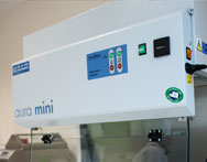 Studia biologiczne i przyrodnicze Białystok