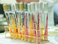 Studia chemiczne Bydgoszcz