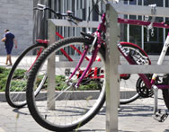 Studia sportowe Rzeszów