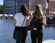 Zielarstwo i fitoterapia - Bydgoszcz