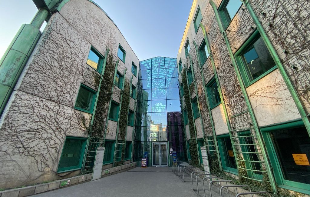 Jaka praca po psychologii