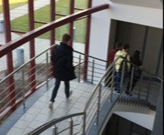 Weterynaria - Warszawa