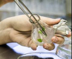 Biotechnologia - Warszawa