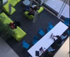 Psychologia - Szczecin