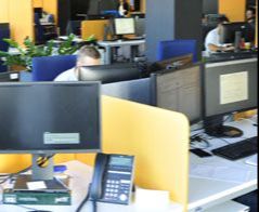 Zarządzanie - Toruń