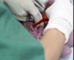 Położnictwo - Łódź