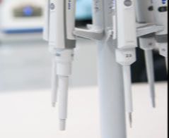 Automatyka i robotyka - Poznań