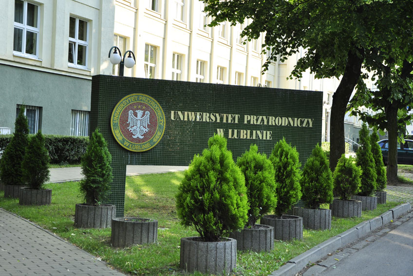 Jaka praca po weterynarii