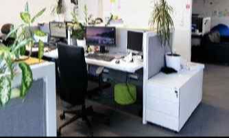 Zarządzanie - Kraków