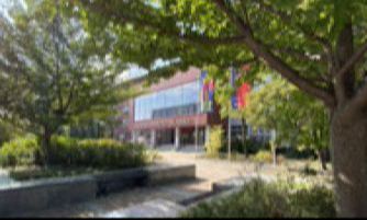 Pedagogika - Katowice i woj. śląskie