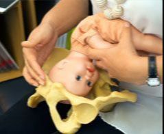 Położnictwo - Katowice i woj. śląskie